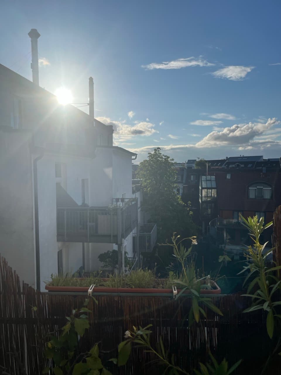 Grüne Hinterhöfe zwischen den Häusern